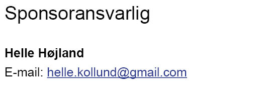 Sponsoransvarlig